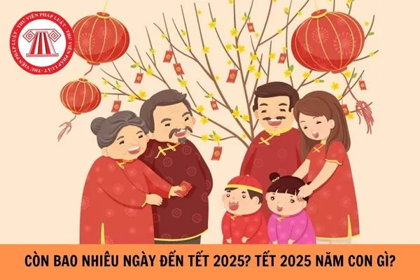 Dự báo thời tiết Tết 2025