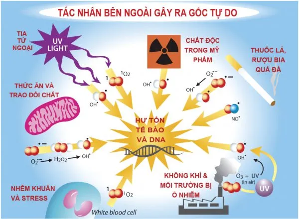 Các yếu tố kỹ thuật quan trọng khi in bao thư